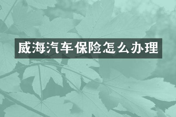威海汽车保险怎么办理