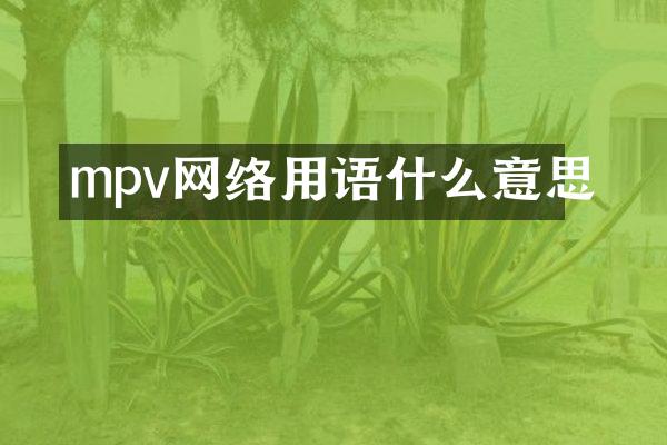mpv网络用语什么意思