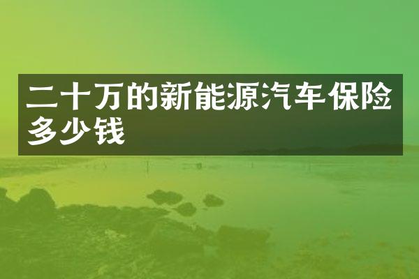 二十万的新能源汽车保险多少钱