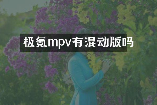 极氪mpv有混动版吗