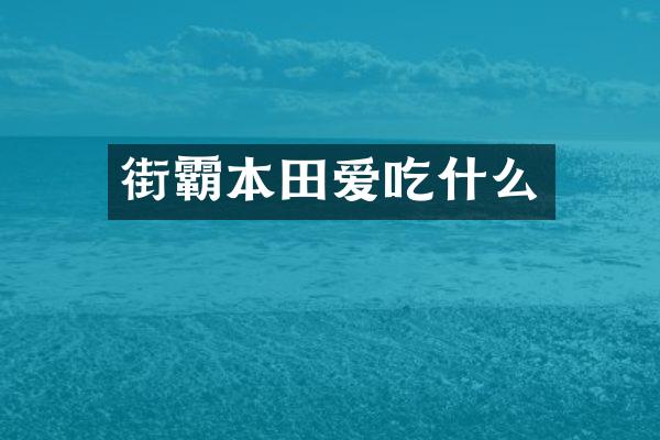 街霸本田爱吃什么