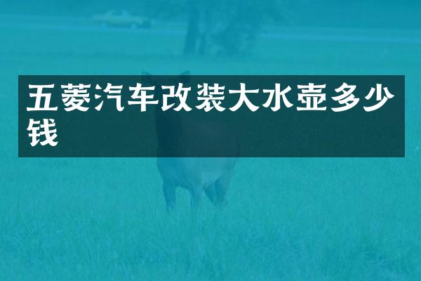 五菱汽车改装大水壶多少钱