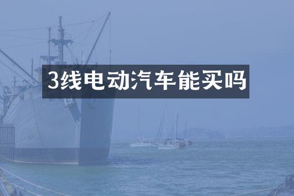 3线电动汽车能买吗
