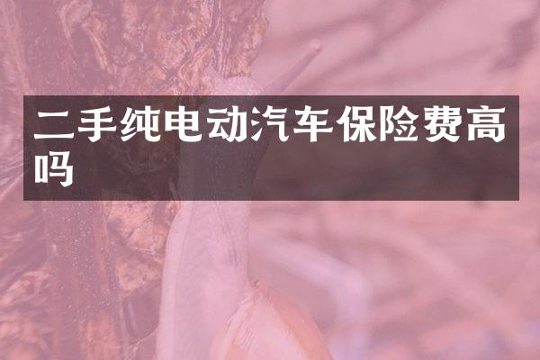 二手纯电动汽车保险费高吗