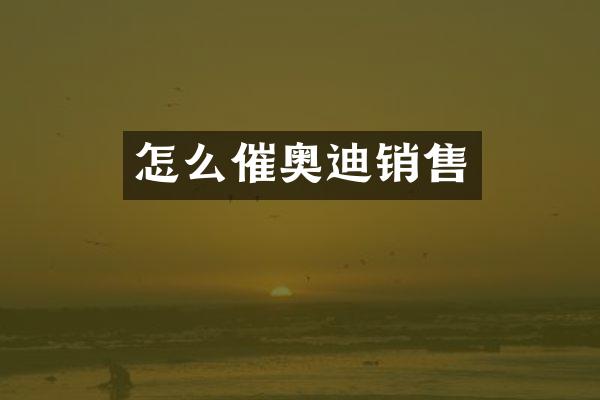 怎么催奥迪销售