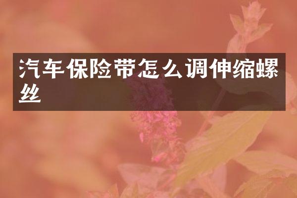 汽车保险带怎么调伸缩螺丝