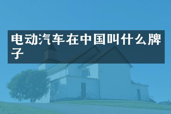 电动汽车在中国叫什么牌子