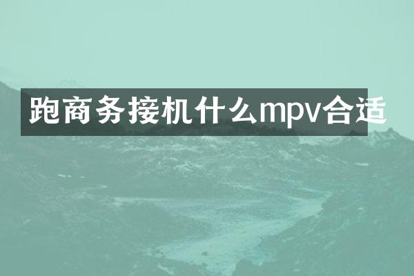 跑商务接机什么mpv合适