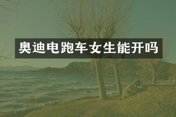 奥迪电跑车女生能开吗
