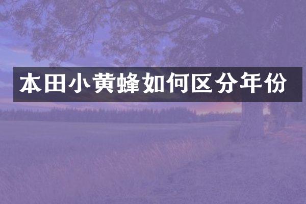 本田小黄蜂如何区分年份