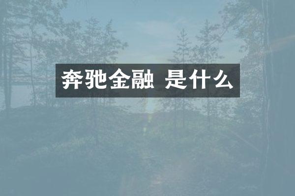 奔驰金融 是什么