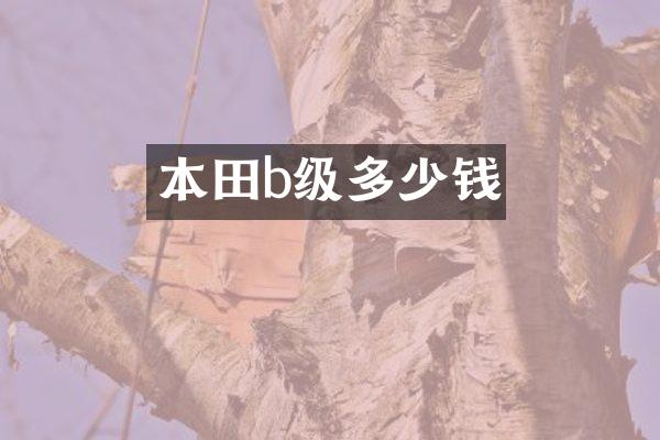 本田b级多少钱