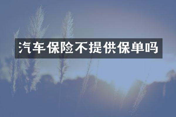 汽车保险不提供保单吗