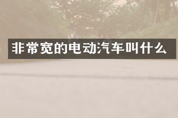 非常宽的电动汽车叫什么