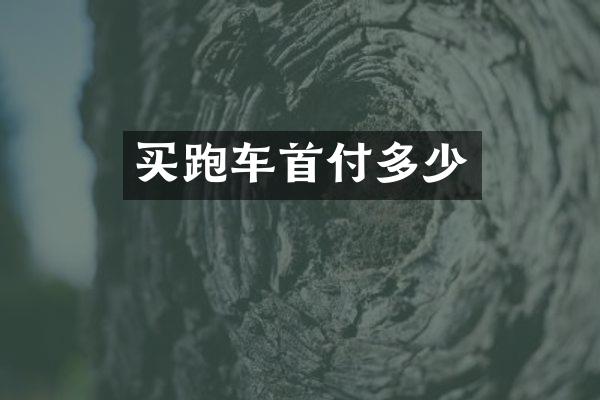 买跑车首付多少