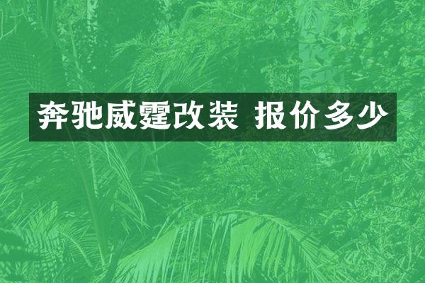 奔驰威霆改装 报价多少