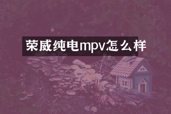 荣威纯电mpv怎么样