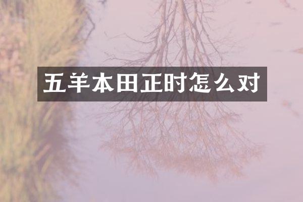 五羊本田正时怎么对