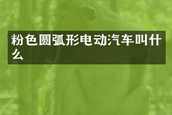 粉色圆弧形电动汽车叫什么