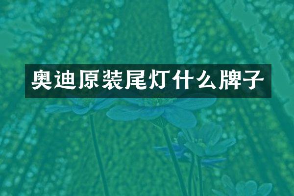 奥迪原装尾灯什么牌子