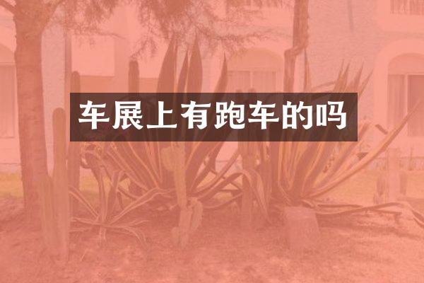 车展上有跑车的吗