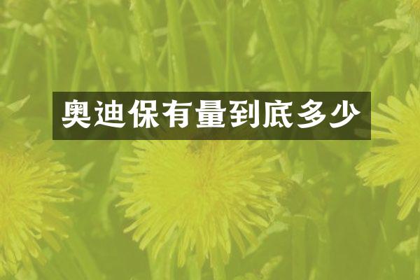 奥迪保有量到底多少
