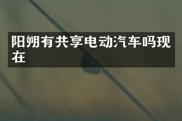 阳朔有共享电动汽车吗现在
