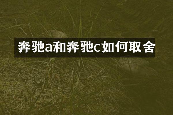 奔驰a和奔驰c如何取舍