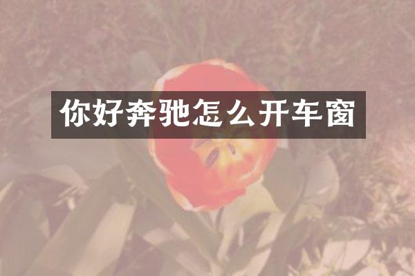 你好奔驰怎么开车窗