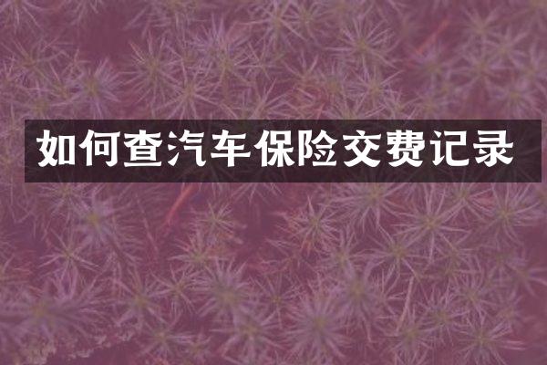 如何查汽车保险交费记录
