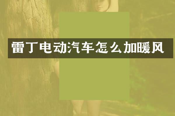 雷丁电动汽车怎么加暖风