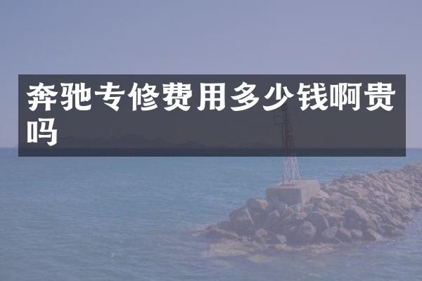 奔驰专修费用多少钱啊贵吗