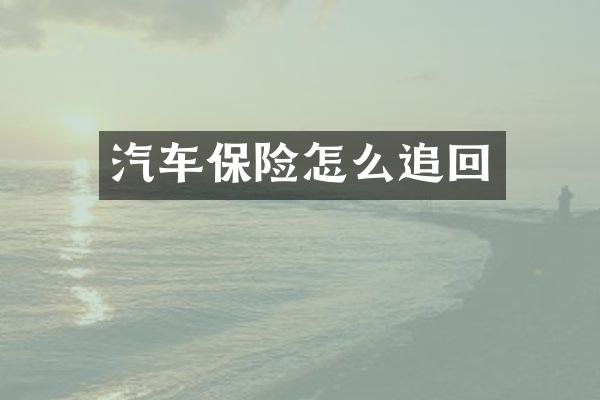 汽车保险怎么追回
