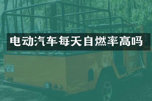 电动汽车每天自燃率高吗