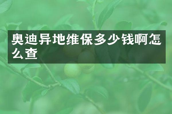 奥迪异地维保多少钱啊怎么查