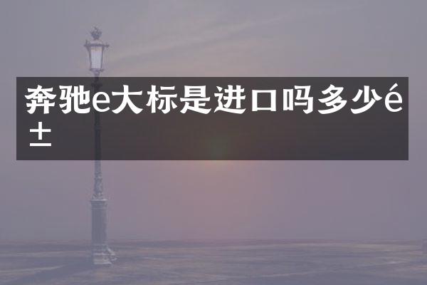 奔驰e大标是进口吗多少钱