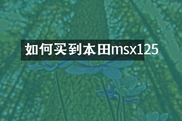 如何买到本田msx125