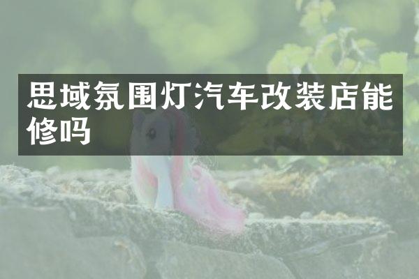 思域氛围灯汽车改装店能修吗