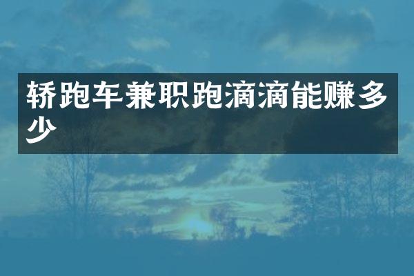 轿跑车兼职跑滴滴能赚多少