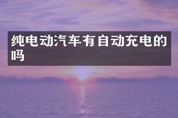 纯电动汽车有自动充电的吗