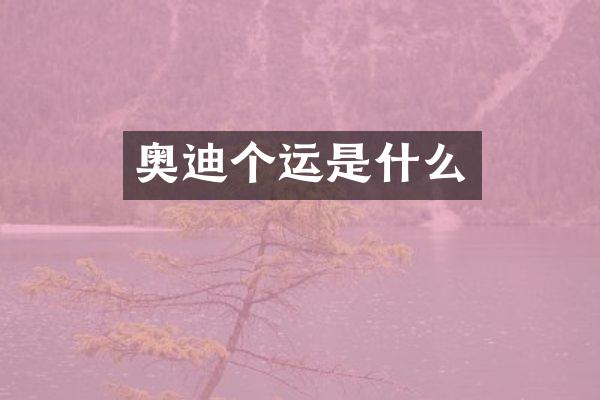 奥迪个运是什么