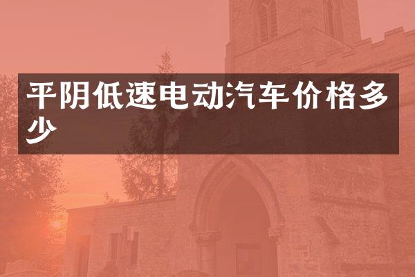 平阴低速电动汽车价格多少