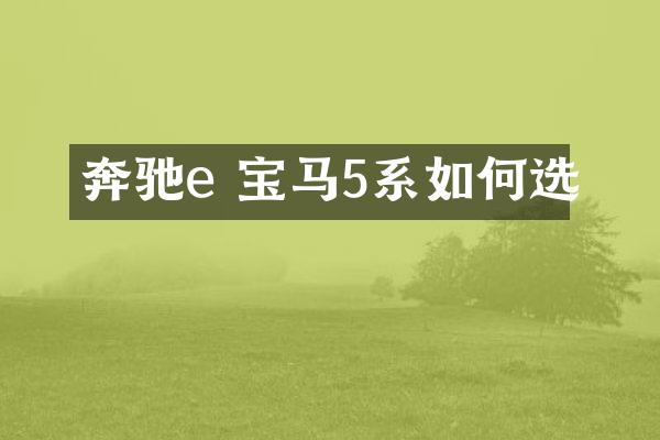 奔驰e 宝马5系如何选