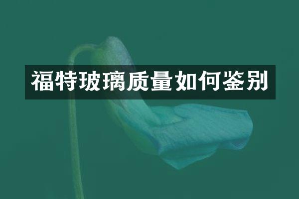 福特玻璃质量如何鉴别