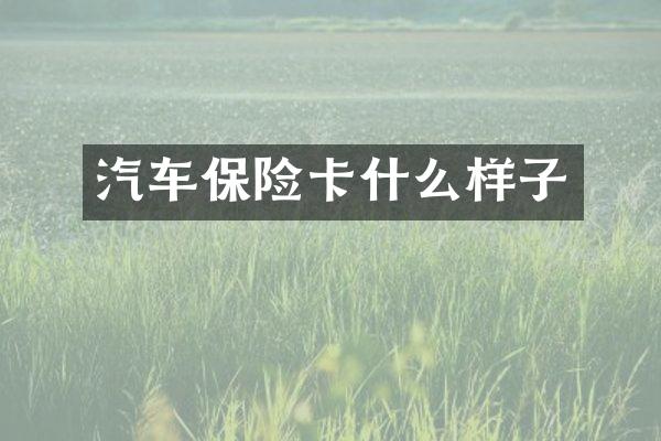 汽车保险卡什么样子