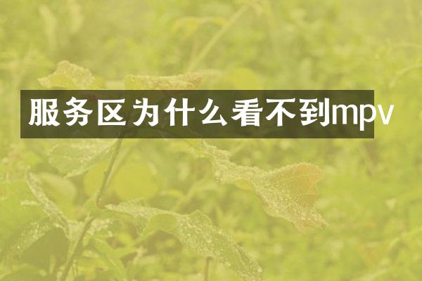 服务区为什么看不到mpv
