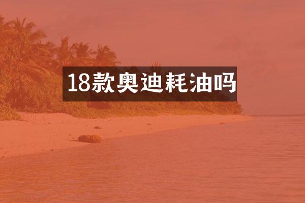 18款奥迪耗油吗