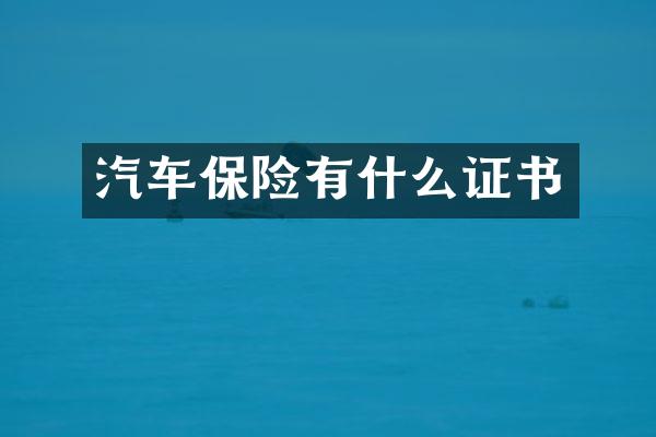 汽车保险有什么证书