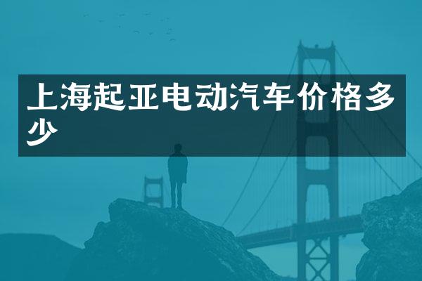 上海起亚电动汽车价格多少