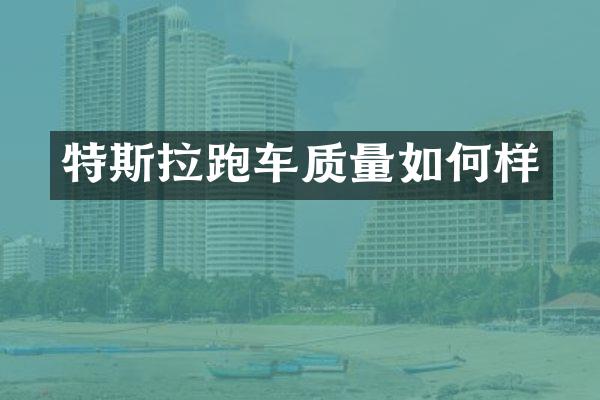 特斯拉跑车质量如何样